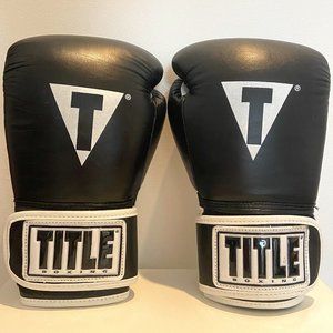 TITLE Pro Style leather Training Boxing Gloves